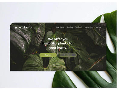 Plant Shop Landing Page adobexd branding cleanui creative dailyui design ecommerce homepage ios landing page minimal online shop plant product design trendy design ui uitrend ux visual design