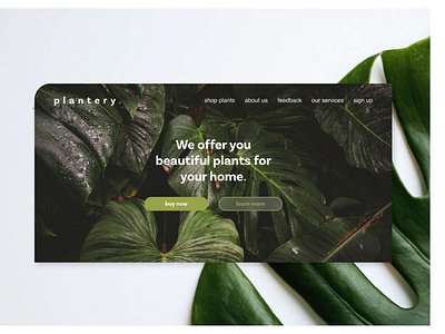 Plant Shop Landing Page