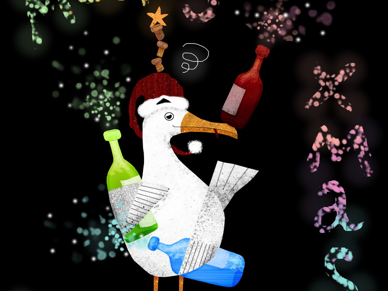 Tipsy Seagull by Daniela Faber on Dribbble