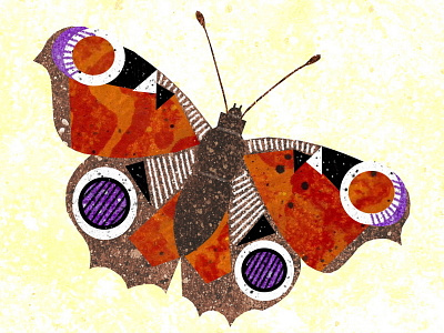 Peacock butterfly flying illustration insect