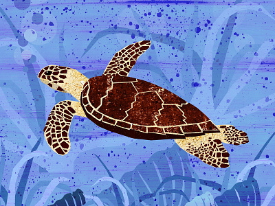 Hawksbill Sea Turtle animal endangered illustration ocean turtle water