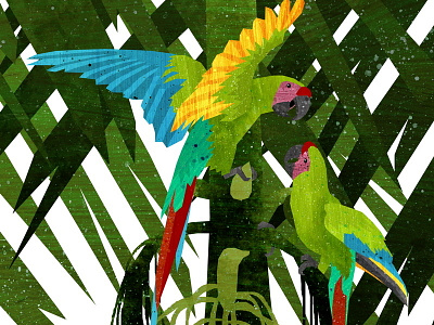 Military Macaw birds colourful green illustration jungle parrots tree