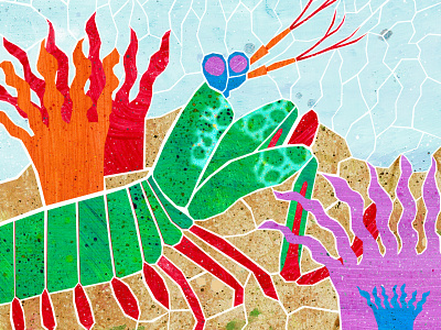 Mantis Shrimp deep sea deep sea creatures fish illustration illustration art illustrations mantis mantis shrimp ocean oceanlife sea sealife shrimp