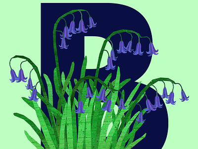 B Bluebells alphabet bluebells flowers illustration illustration art illustration design illustrations plants