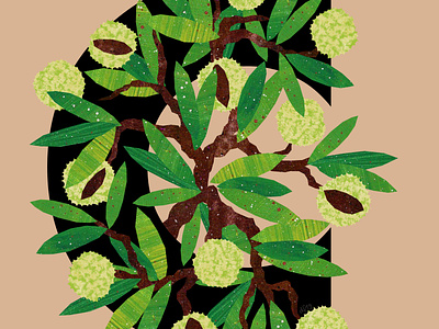 C Chestnut alphabet chestnut conkers illustration illustration art illustration design illustrations plants tree trees