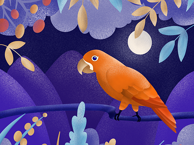 Moonlight parrot art bird colors flat geometric illustration jungle nature parrot vector