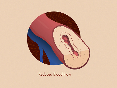 Medical Illustration blood blood flow illustration medical veins