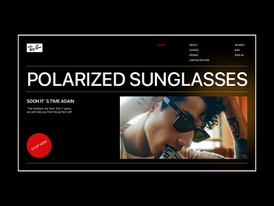 Ray Ban Sunglasses Concept