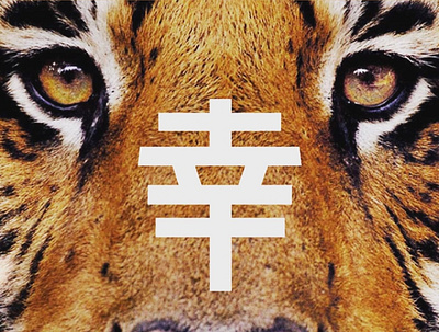 幸运虎 (Lucky Tiger) branding china chinese design logo luck lucky tiger vector wanda 幸 幸运虎