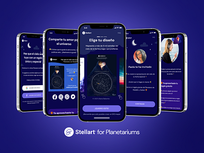 SaaS App Design - Stellart