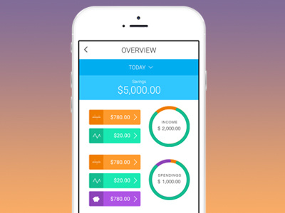 Daily Budget App app charts data ios ui
