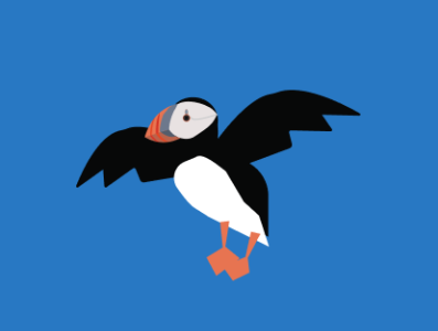 Puffin