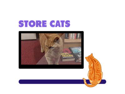Store Cats cats illustration post-production videoediting