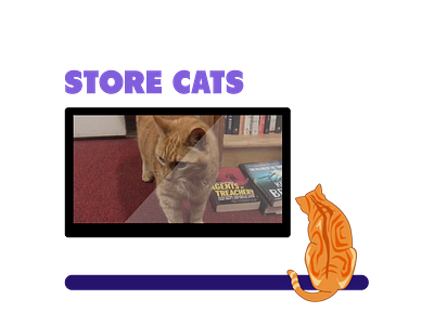 Store Cats cats illustration post production videoediting