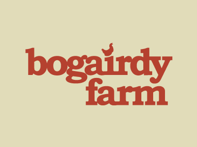 Bogairdy Farm branding chick chicken eggs farm food identity illustration logo logotype mark