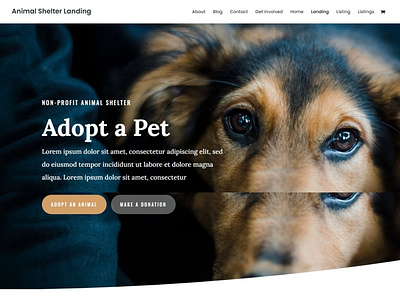 Animal Rescuer and Welfare NGO by shubham Chauhan on Dribbble
