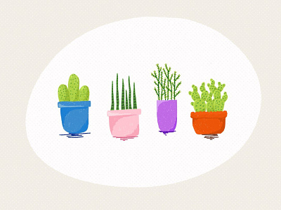 Pots of Houseplants cactus houseware illustration plants pots sketch succulents