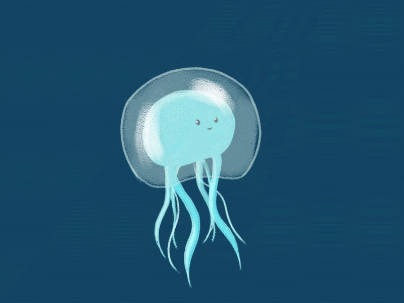 Jelly Fish 2d 2d animation after effects animation illustration motion graphics vector
