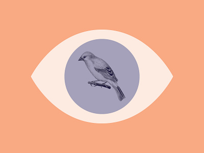 The Weight of Entitlement article bird editorial eye illustration purple sparrow tangerine