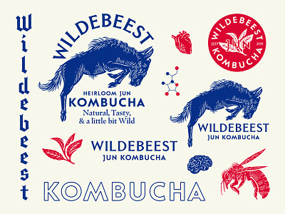 Wildebeest Jun Kombucha beverage beverage design beverage packaging branding design drinks hand drawn illustration logo type typography