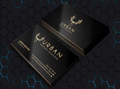 Professional Business Cards branding business card design business cards creative business card design design business crad design professional card graphic design logo professional business card professional business cards