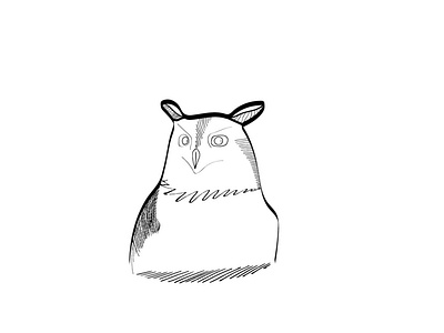 Owl vector sketch