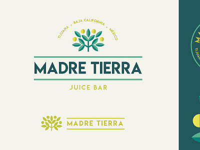 Juice Bar Logo graphic design illustration logo logo design