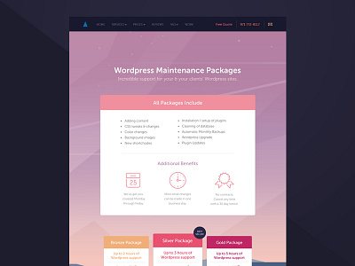 Reliable PSD Wordpress Maintenance Packages Page branding clean color design graphic interface layout ui ux web web design website