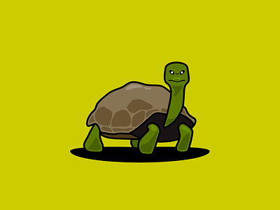 Tortoise ancient animal design flat illustration inktober inktober2019 tortoise