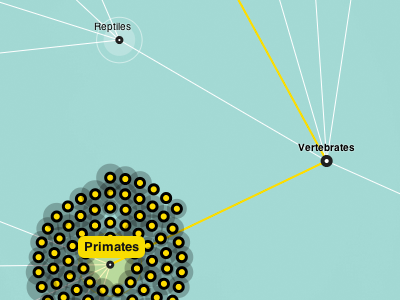 Tree Data visualization data visualization