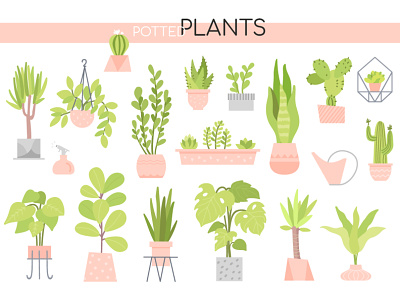 Potted Plants collection
