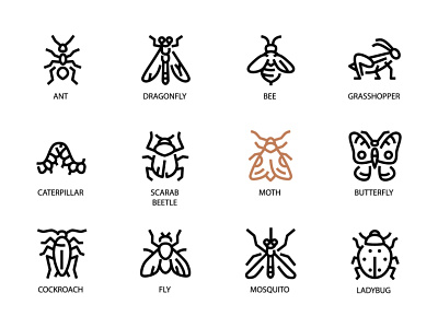 Insects - line icons animals ant design fly icon insects ladybug line outline style vector