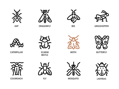 Insects - line icons animals ant design fly icon insects ladybug line outline style vector