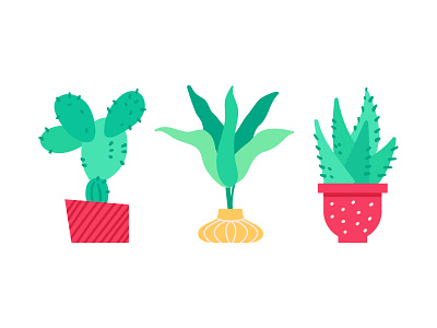 Potted Plants Bundle cacti design flat design green illustration plant potted plant style succulent vector