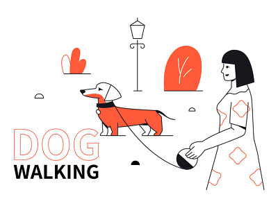 Dog walking line illustration character dachshund design dog flat design girl illustration line outline park pet style vector woman