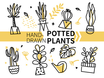 Hand-drawn potted plants cactus design element flat design hand-drawn houseplant line potted plant style succulent vector