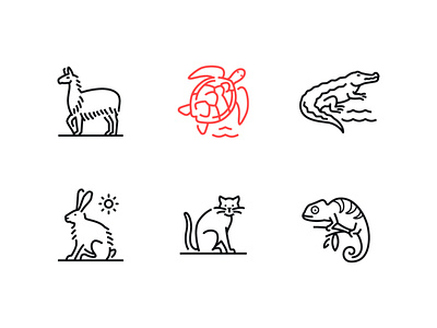 Animals - line icons animal design icon line lizard style vector wild zoo