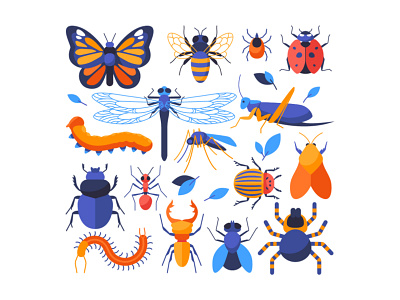 Insects collection animal collection design flat design insect set style vector