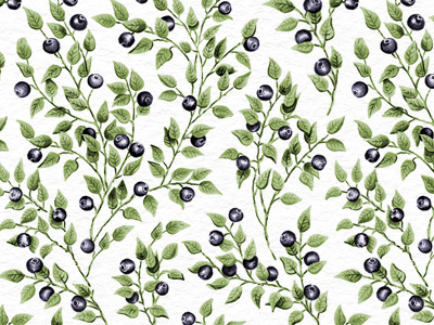 Huckleberry Seamless Pattern berries blueberry floral huckleberry illustration pattern seamless tileable wallpaper watercolor