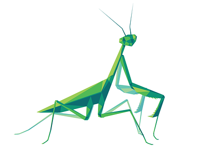 Poly Mantis bright bug illustrator insect mantis poly vector