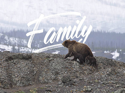 Family calligraphy lettering typography