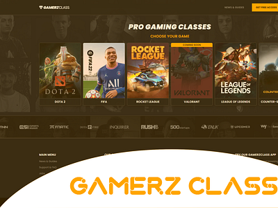 Video Gaming Classes