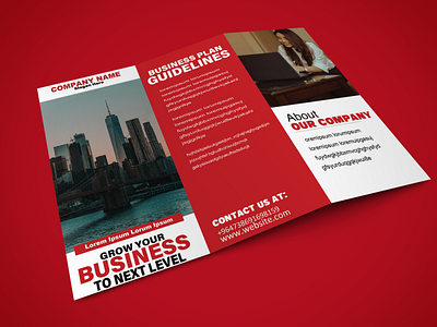 Trifold Brochure adobe illustartor branding graphic design