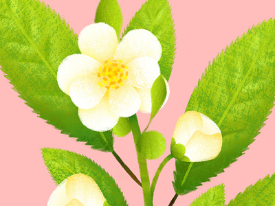 Green tea flower boba design flower food illustration painting plant texture vector