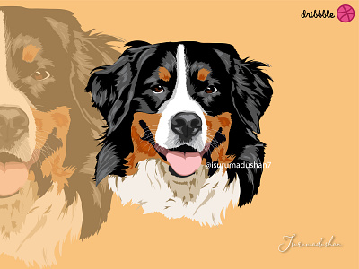 Realistic Vector Pet Bernese Mountain Doggy