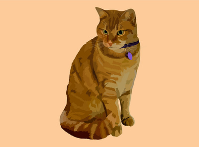 Realistic Vector Pet 2d art art cat design graphic design illustration pet vector