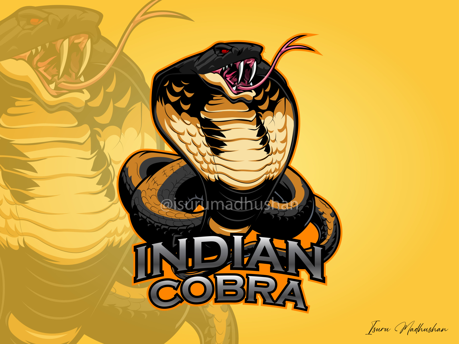 Dribbble Indian Cobra 01 By Isuru Madushan