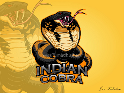 Indian Cobra 🐍 branding design graphic design illustration logo vector