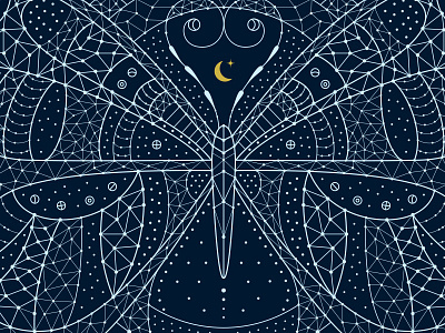 Space Butterfly butterfly cosmos detail insect lace line moon pattern space stars symmetry universe
