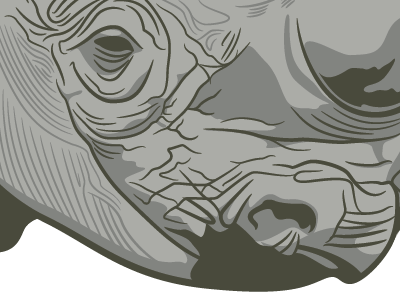 Rhinovector gray illustration illustrator rhinoceros vector